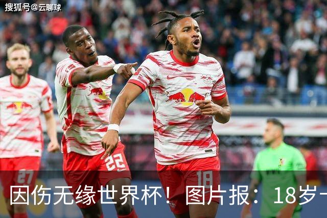 因伤无缘世界杯！图片报：18岁卡尔已乘机返回德国，他显然很失望